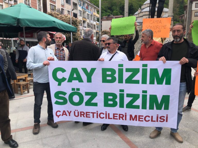 Çay Üreticileri Meclisi: Çay Taban Fiyatı 18 TL olmalı