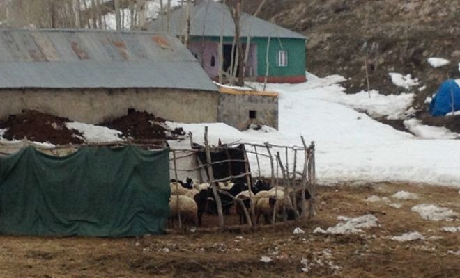 ‘Yüksekova’da barış olursa her yerde olur’